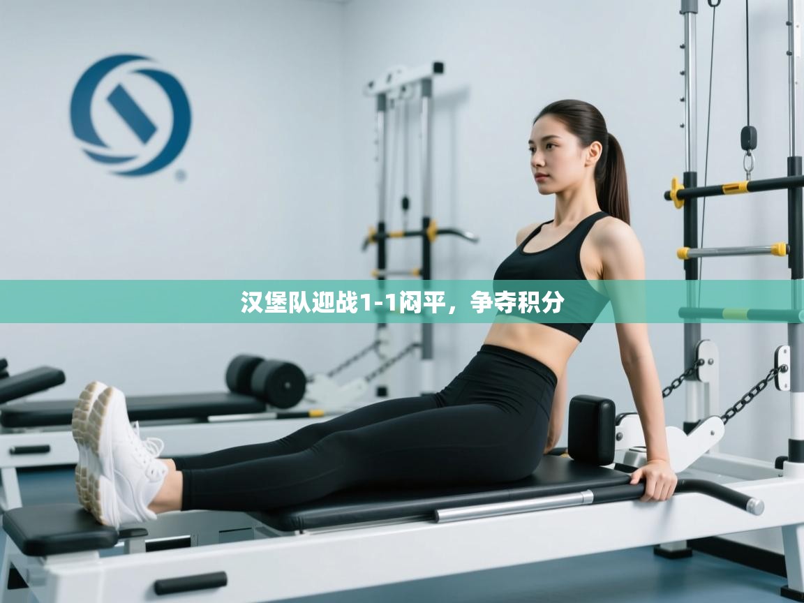 汉堡队迎战1-1闷平，争夺积分  第2张