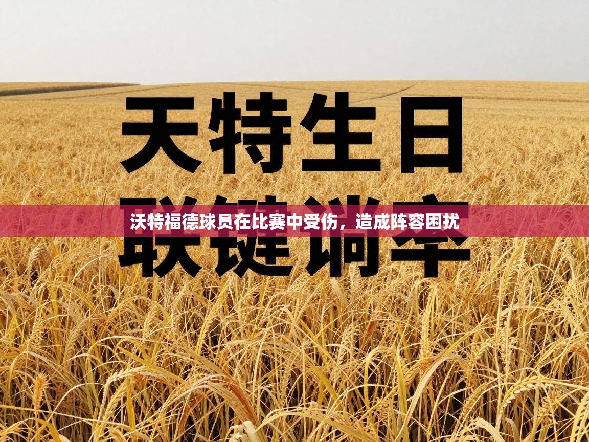 沃特福德球员在比赛中受伤，造成阵容困扰  第1张