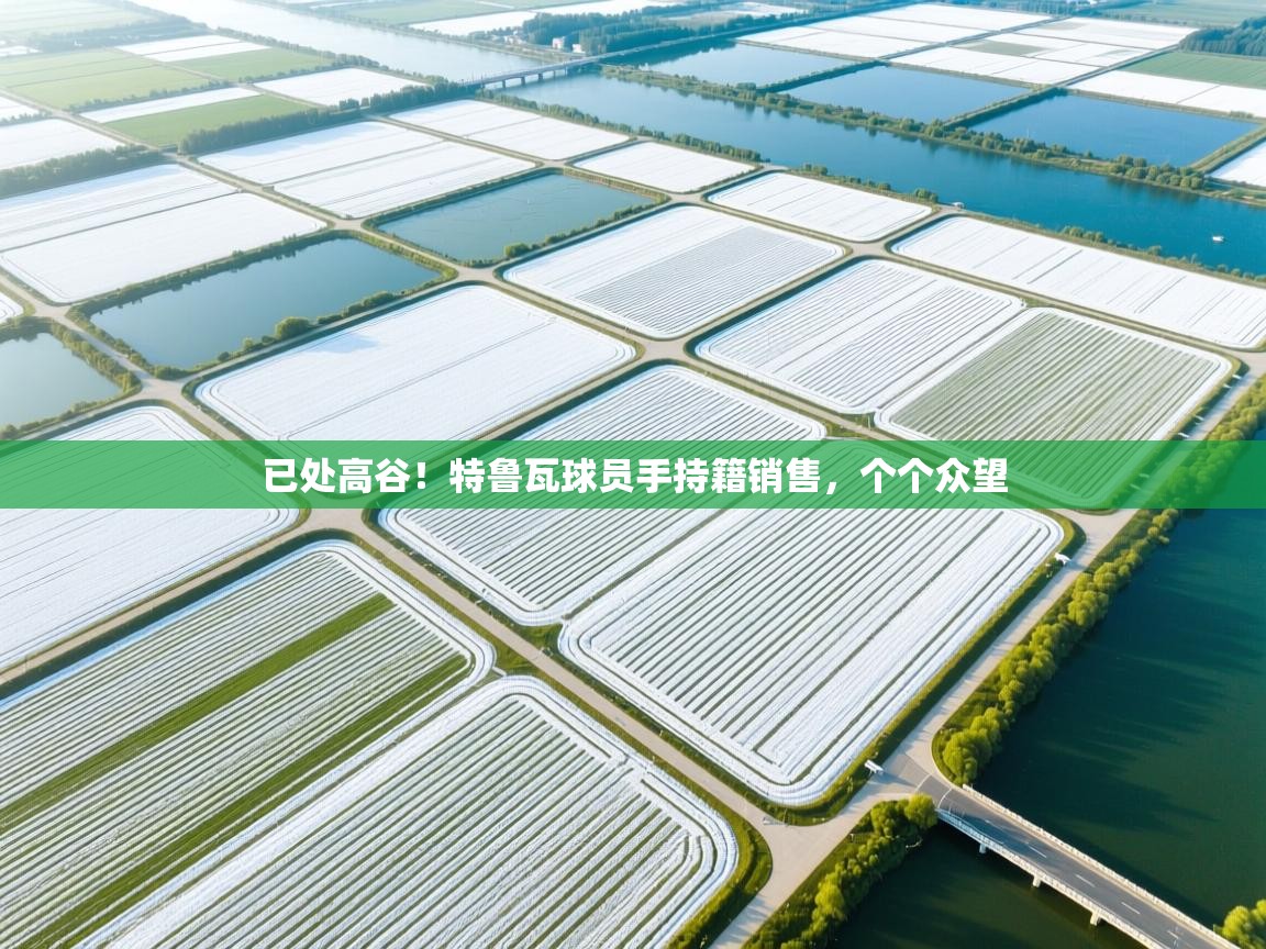 已处高谷！特鲁瓦球员手持籍销售，个个众望  第1张