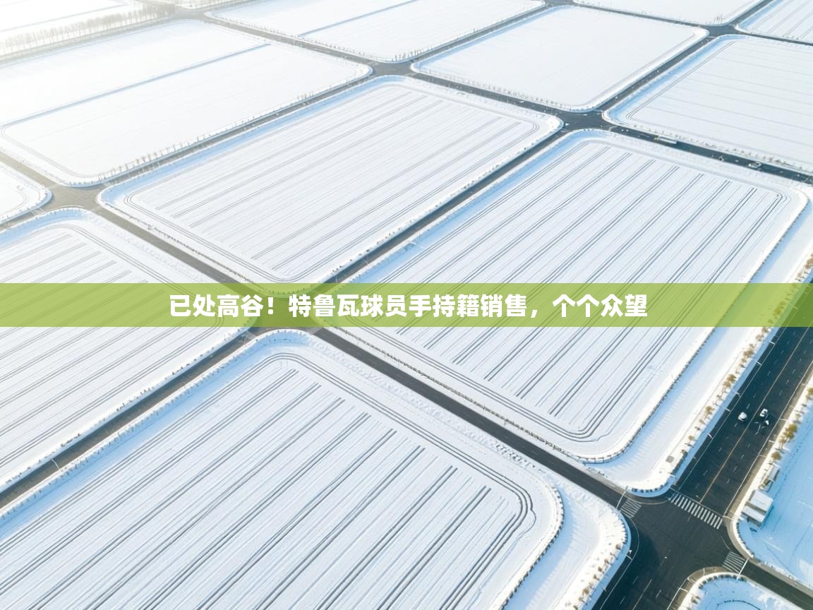 已处高谷！特鲁瓦球员手持籍销售，个个众望  第2张