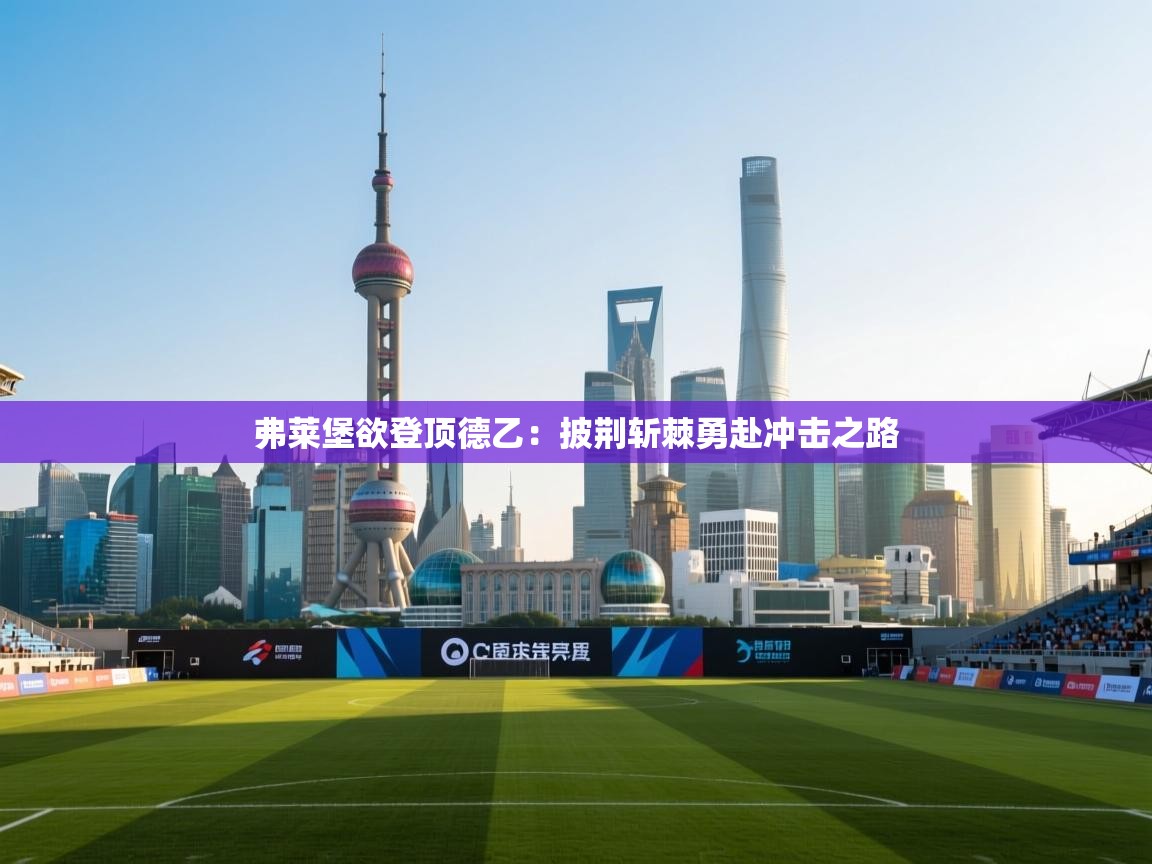 弗莱堡欲登顶德乙：披荆斩棘勇赴冲击之路