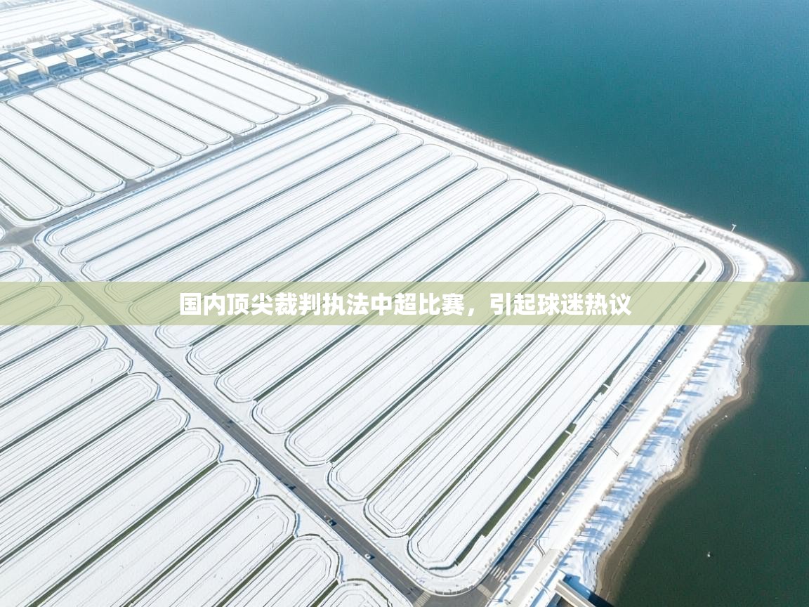 国内顶尖裁判执法中超比赛，引起球迷热议