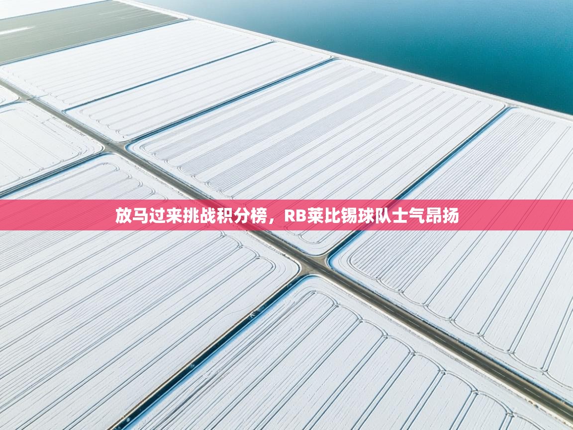 放马过来挑战积分榜，RB莱比锡球队士气昂扬