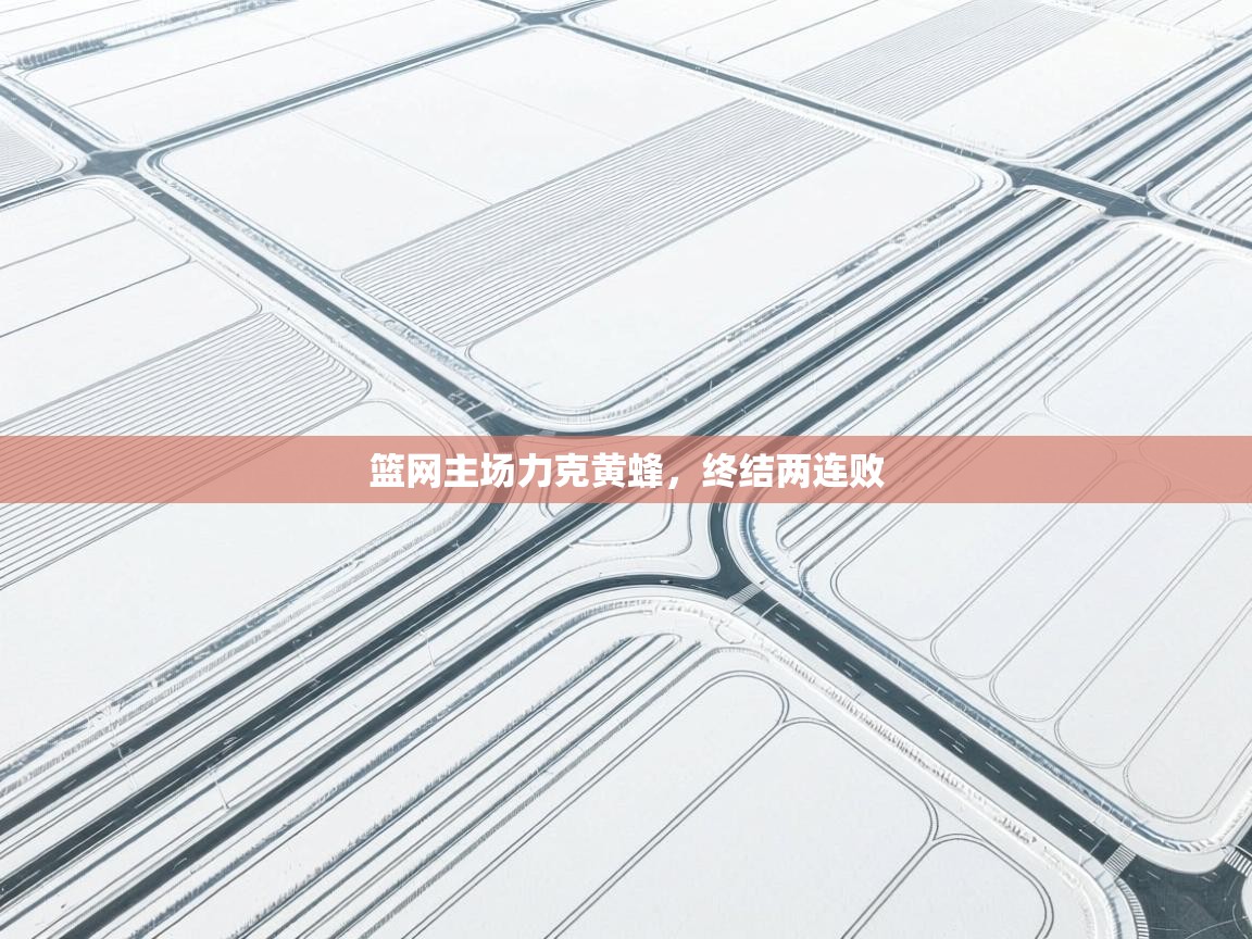 篮网主场力克黄蜂,终结两连败 第1张