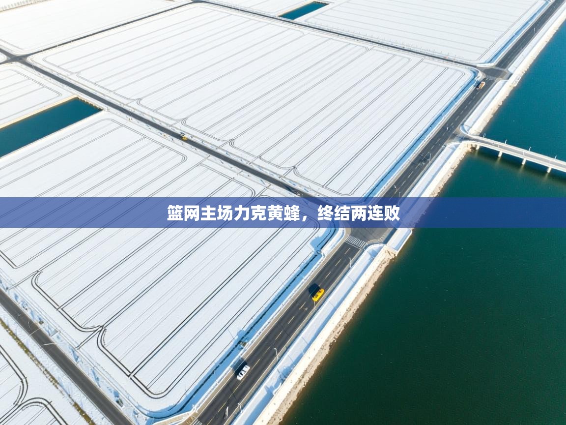 篮网主场力克黄蜂,终结两连败 第2张