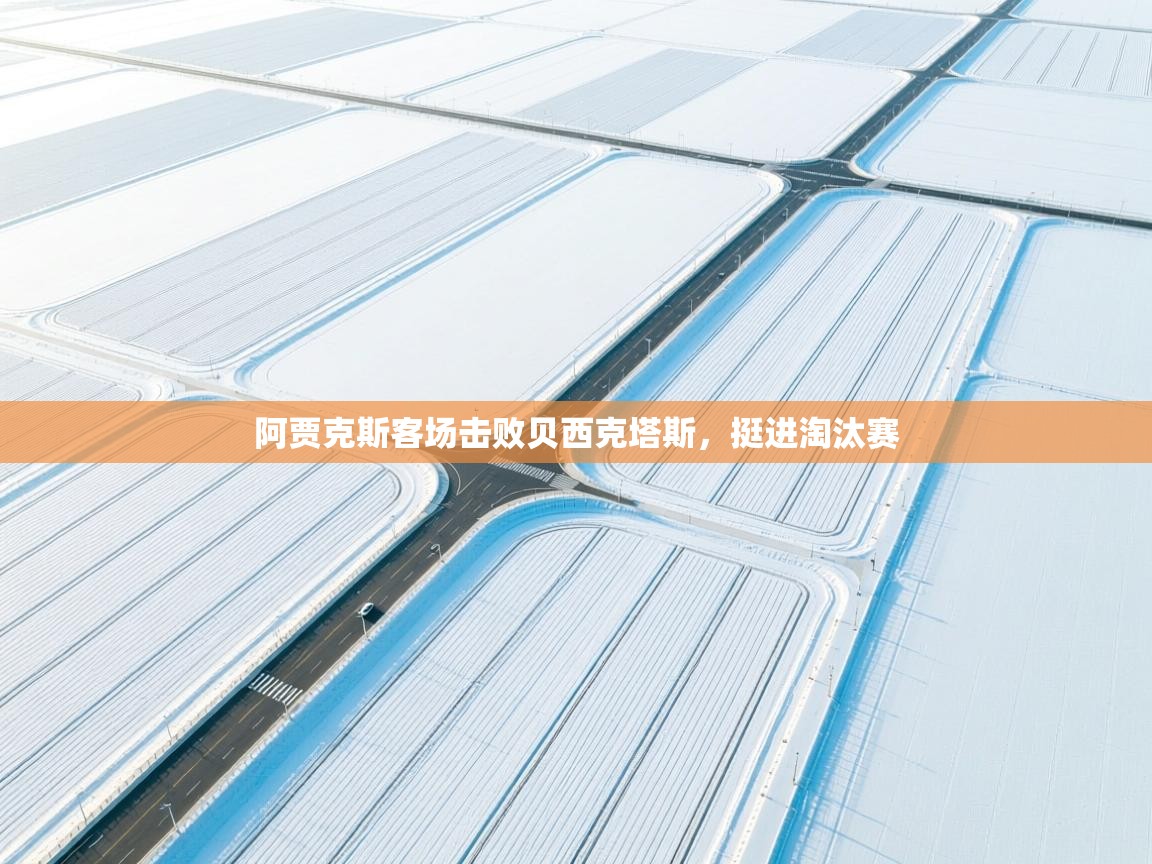 阿贾克斯客场击败贝西克塔斯，挺进淘汰赛