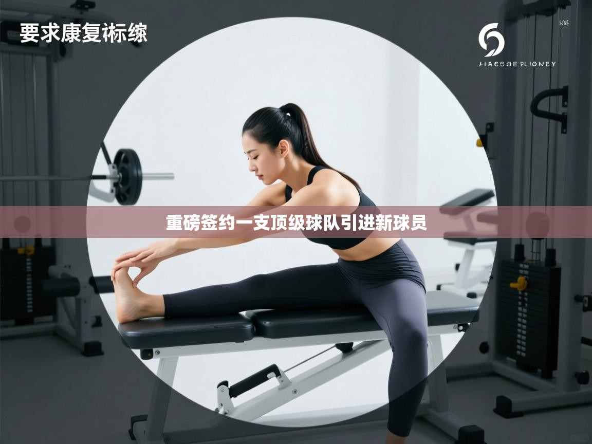 重磅签约一支顶级球队引进新球员  第2张