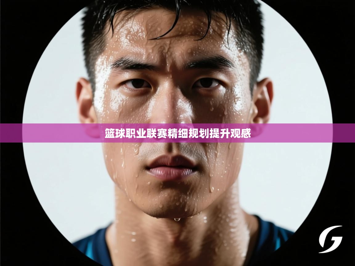 篮球职业联赛精细规划提升观感
